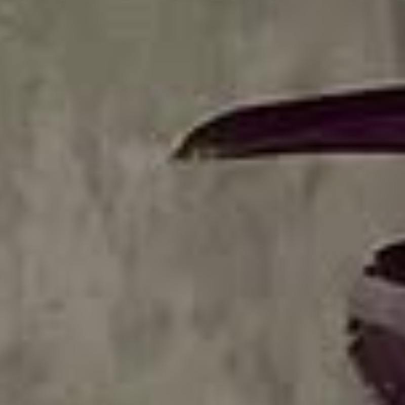 gallery-img
